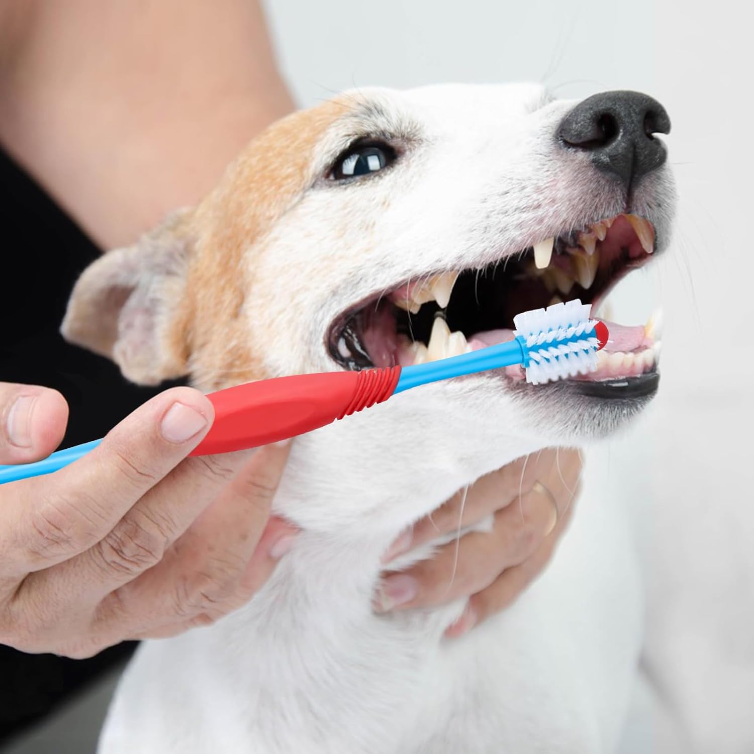360° Dog Toothbrush Dual Head – Pet Dental Care Brush