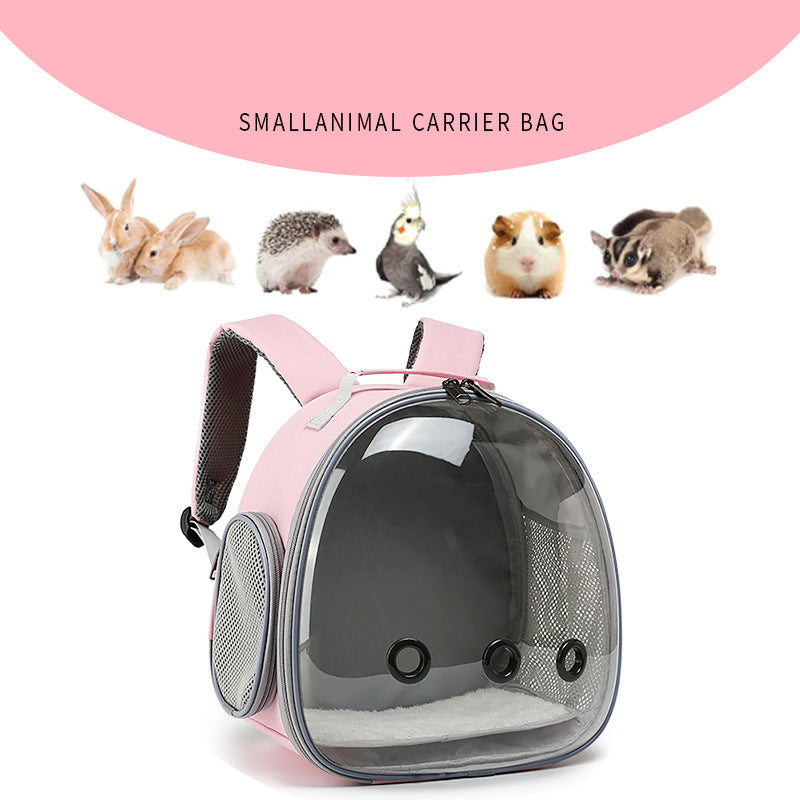 Transparent Pet Carrier Backpack for Small Animals – Bubble Window