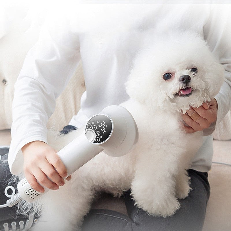 Quiet Pet Hair Dryer & Brush – 2-in-1 Dog Grooming Blow Comb