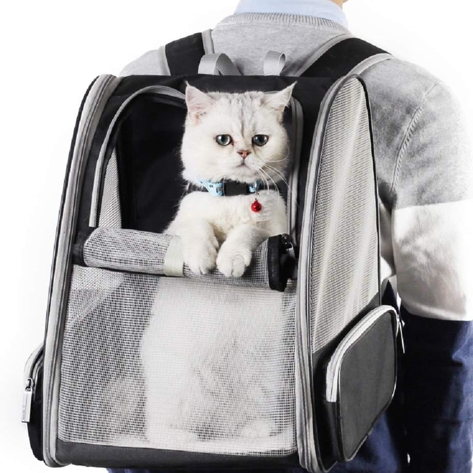 Bubble Backpack Pet Carrier – Transparent Cat & Dog Travel Bag