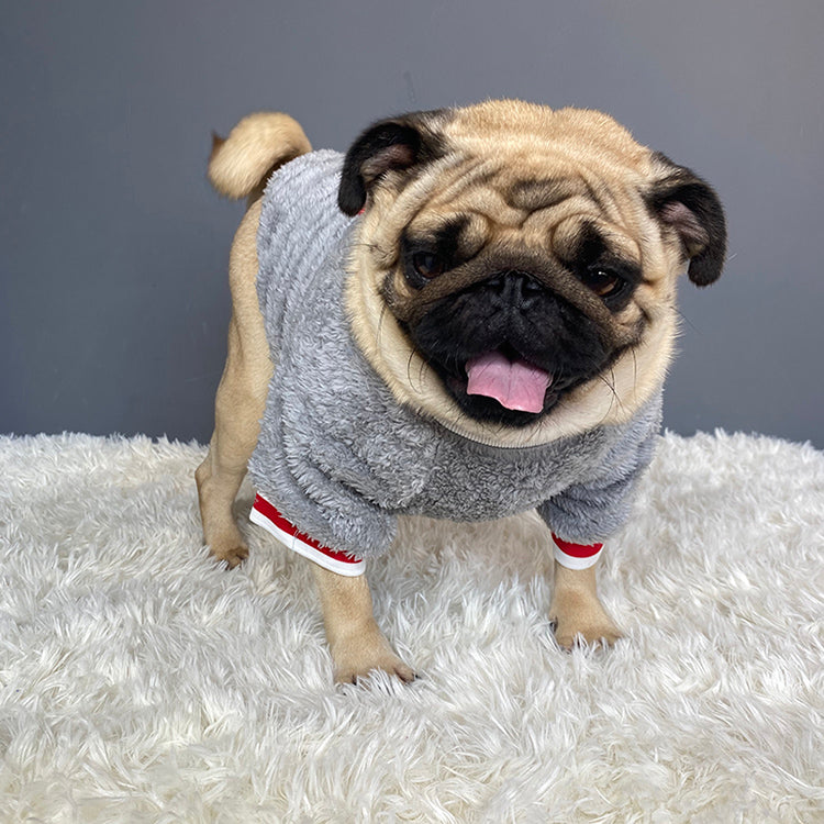 Blue Dog Sweater – Soft Cotton Warm Pet Clothes for Small Dogs