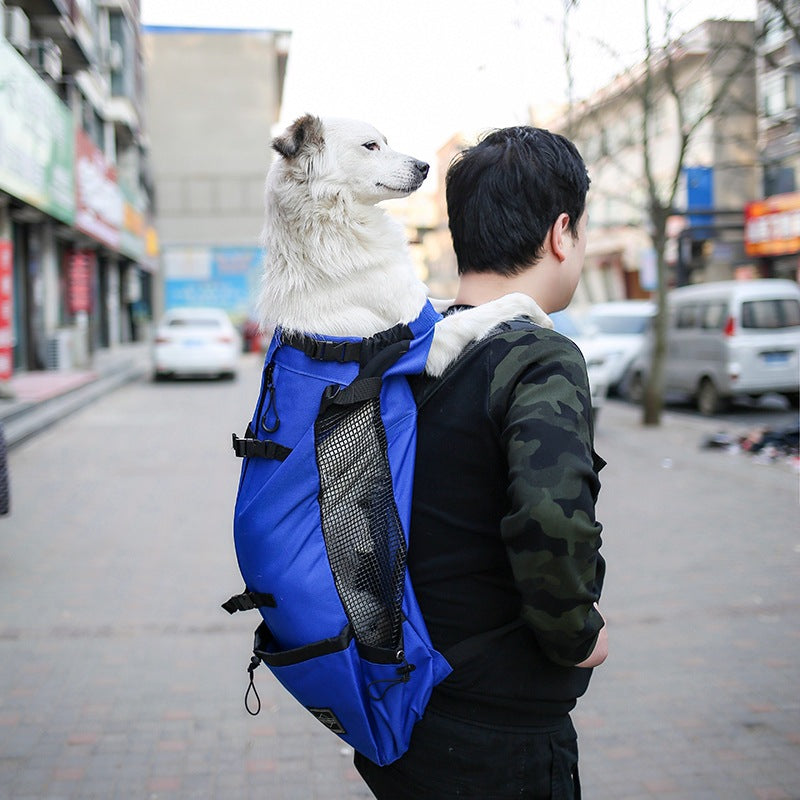 Double Shoulder Dog Carrier Backpack – Travel Pet Bag