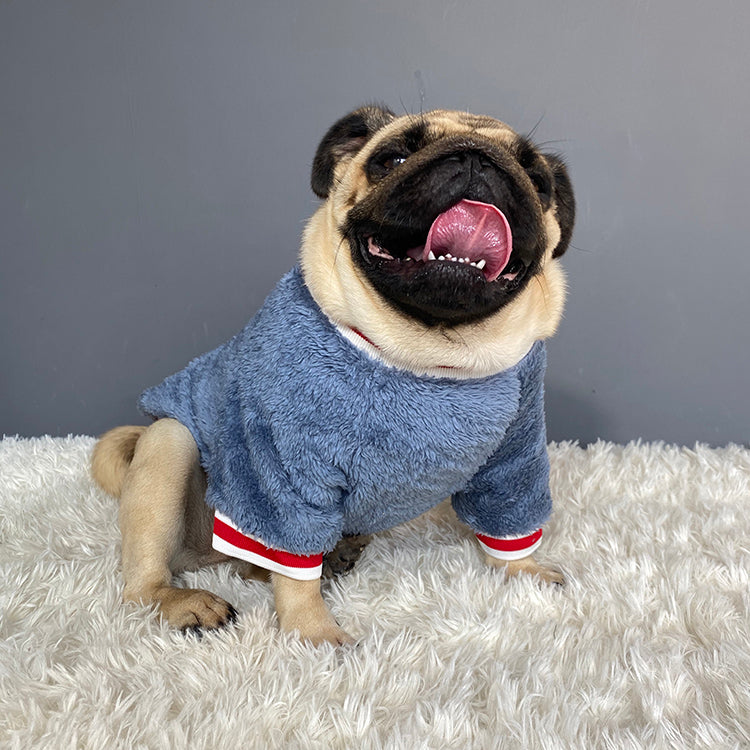 Blue Dog Sweater – Soft Cotton Warm Pet Clothes for Small Dogs